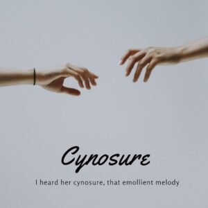 Cynosure by Mufasir Babu